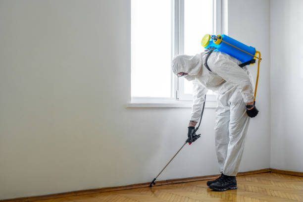 Best Flea Control Services  in Sugar Grove, IL