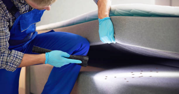 Trusted Sugar Grove, IL Pest Control Experts