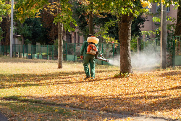 Best Affordable Pest Control Services  in Sugar Grove, IL