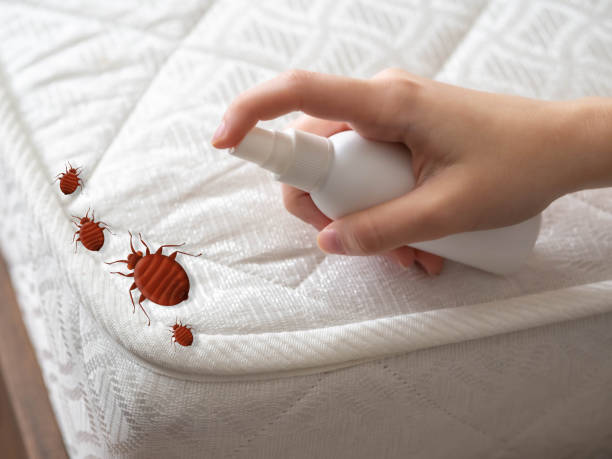 Best Commercial Pest Control Services  in Sugar Grove, IL