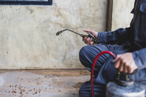 Best Exterminator Services  in Sugar Grove, IL