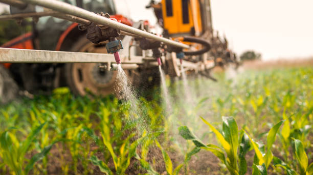 Best Affordable Pest Control Services  in Sugar Grove, IL